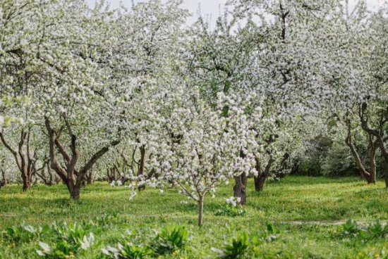 Подать объявление бесплатно о продаже и сдаче — просто, быстро и эффективно